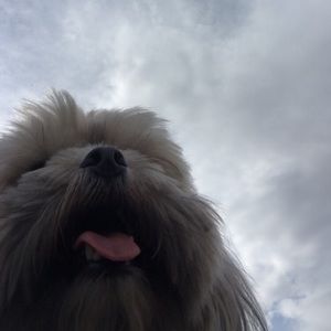 Meet your Posher, Kori-jo